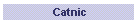 Catnic